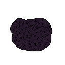 truffle
